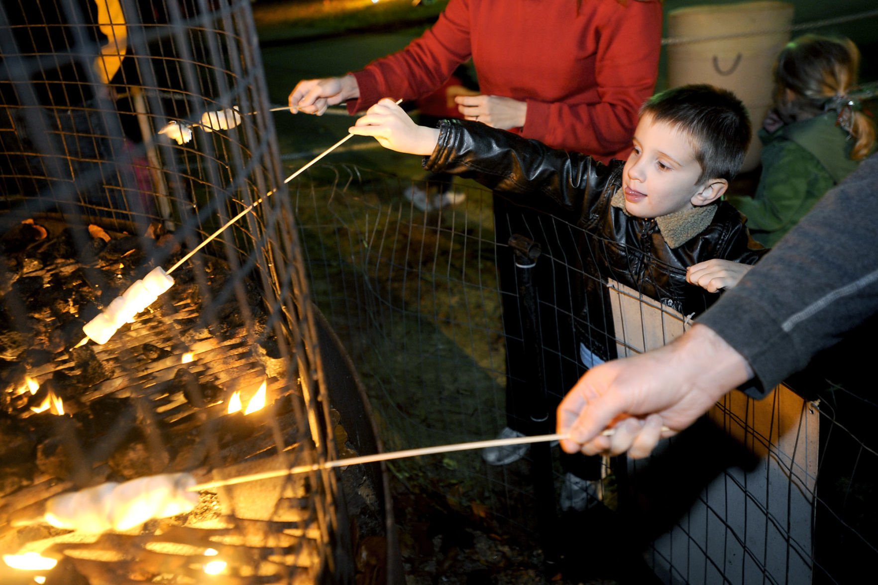 FESTIVAL OF LIGHTS 2008
